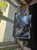 whatsapp-image-2024-07-20-at-12-59-22-1.jpeg